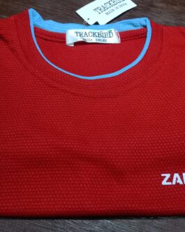 Zara T Shirt